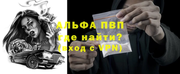 прущие грибы Пересвет