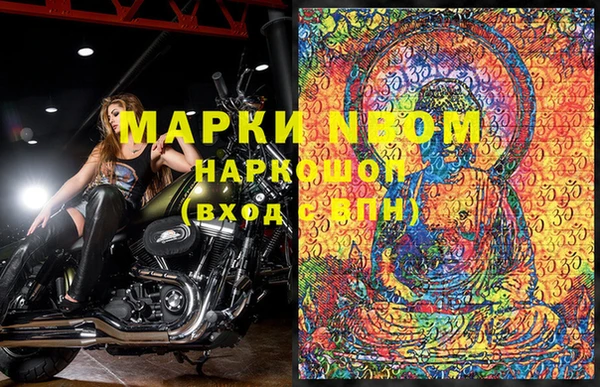прущие грибы Пересвет