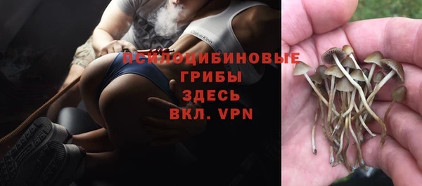 кокс Горняк
