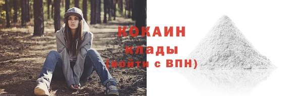 2c-b Горнозаводск
