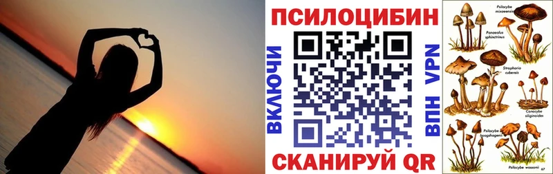 Псилоцибиновые грибы Cubensis  купить наркоту  Дмитровск 